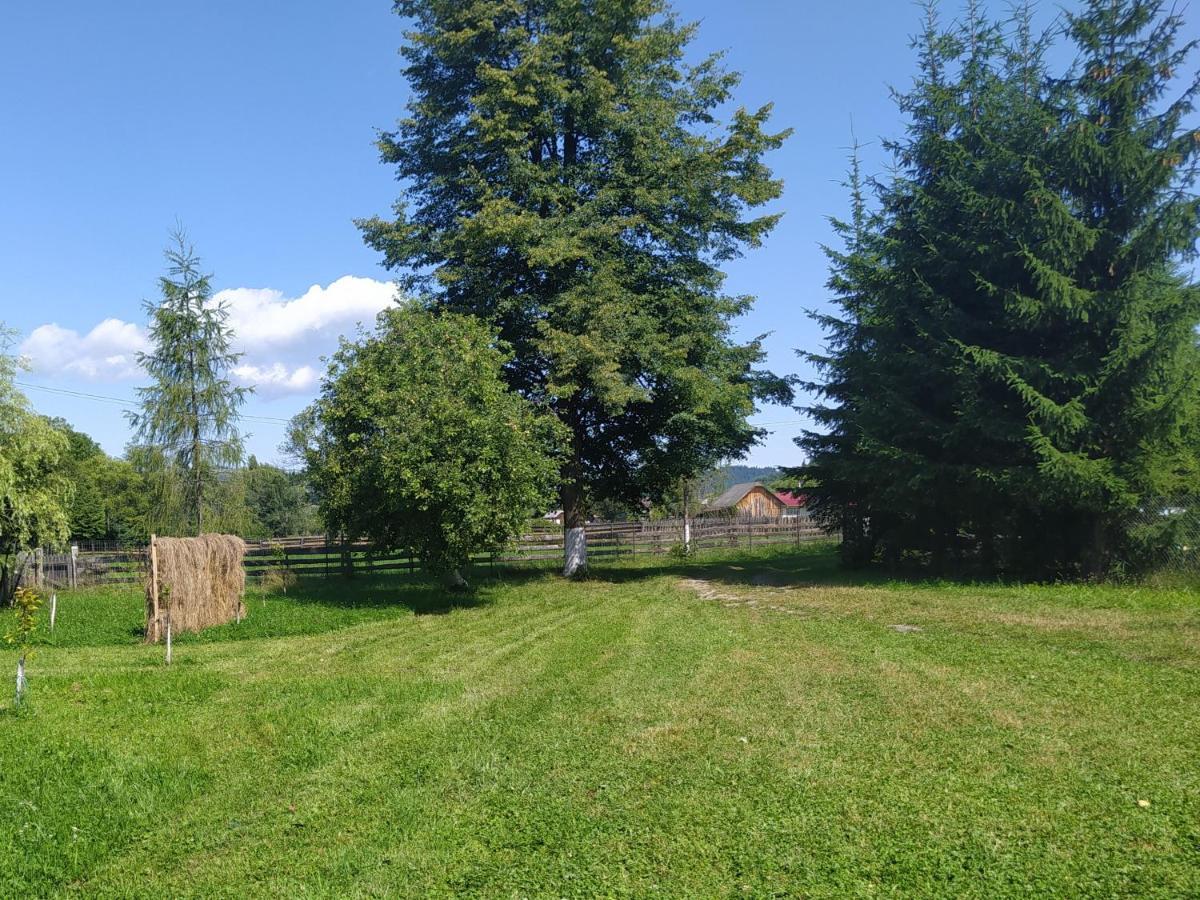 Casa Moldovita Eksteriør bilde