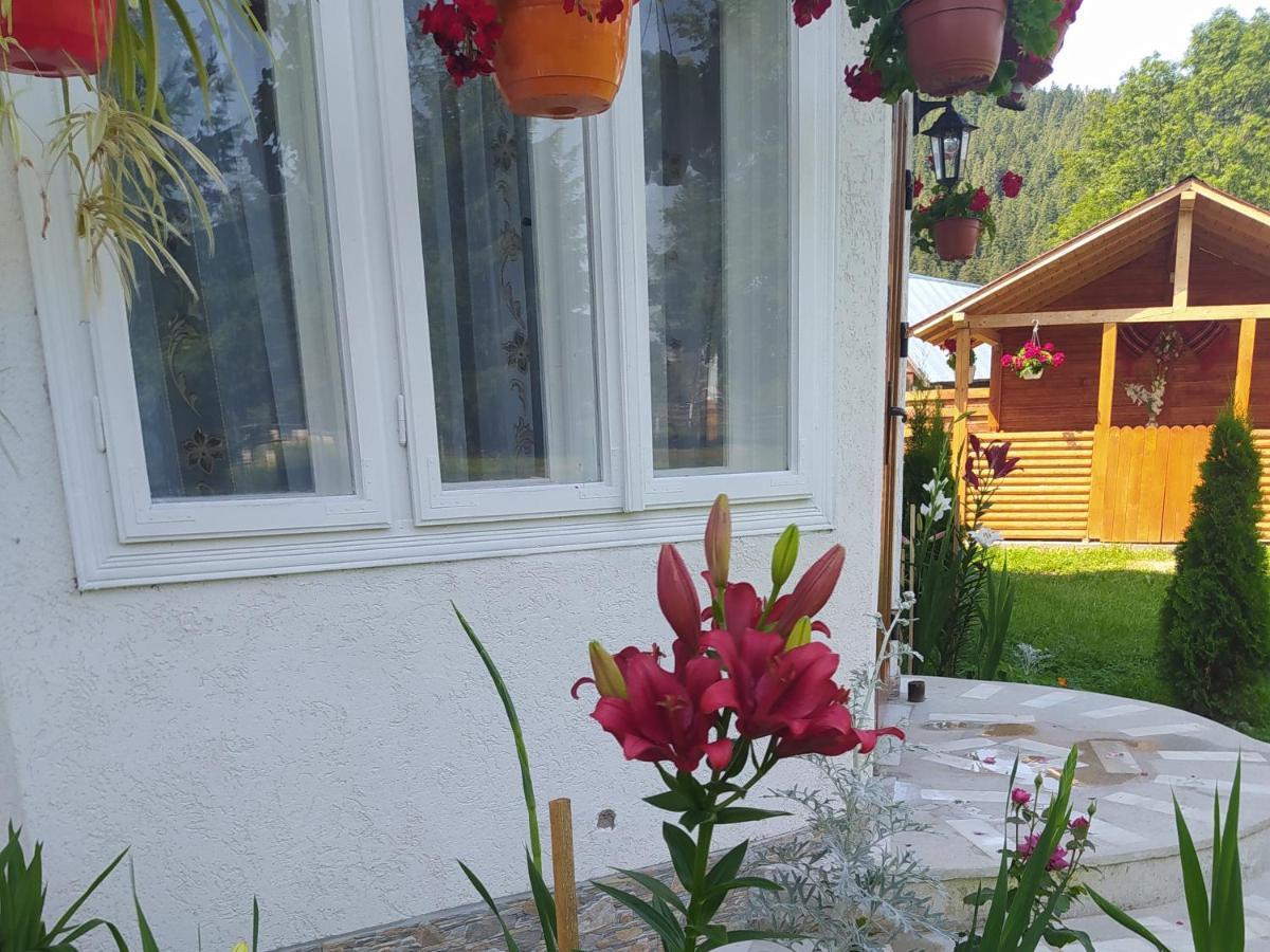 Casa Moldovita Eksteriør bilde